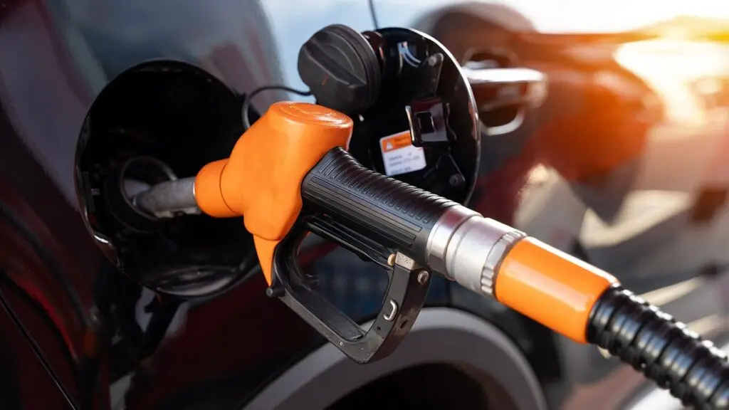 CEA urges E10 option for old vehicles, no govt plan yet