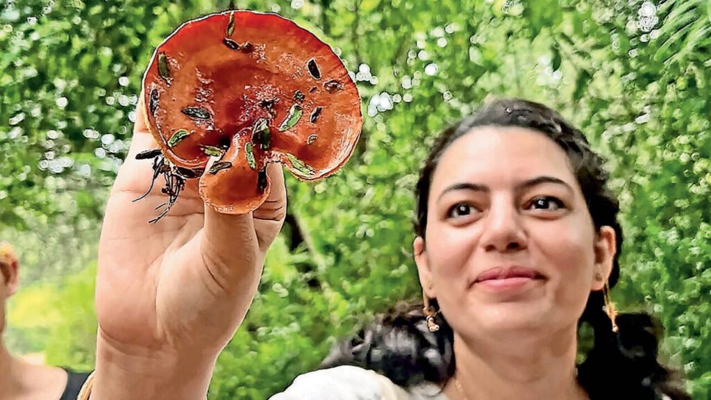 Monsoon opens Delhi’s heritage, nature and food trails