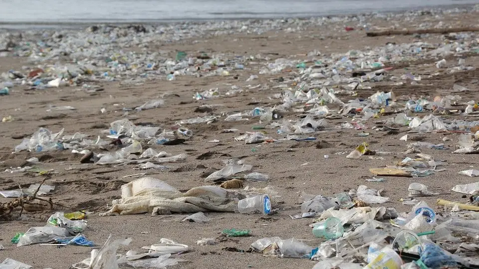 Madras HC warns waste imports are 'Deshdroh' against India's sovereignty