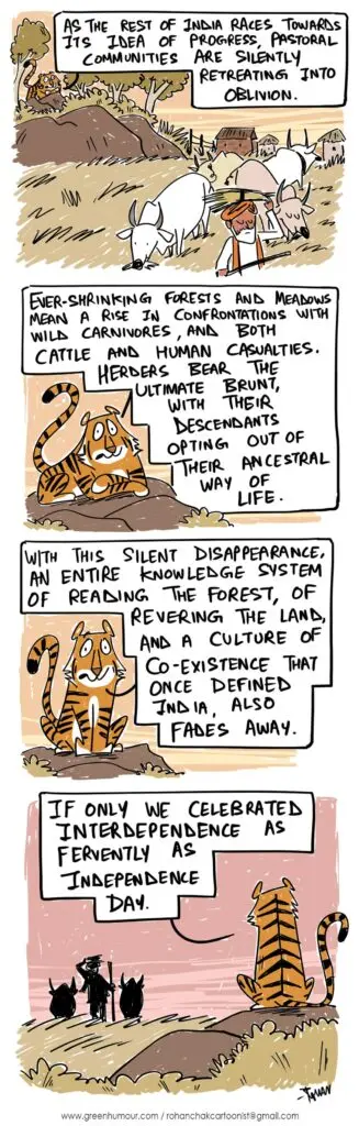 The Hindu examines India’s disappearing pastoral communities