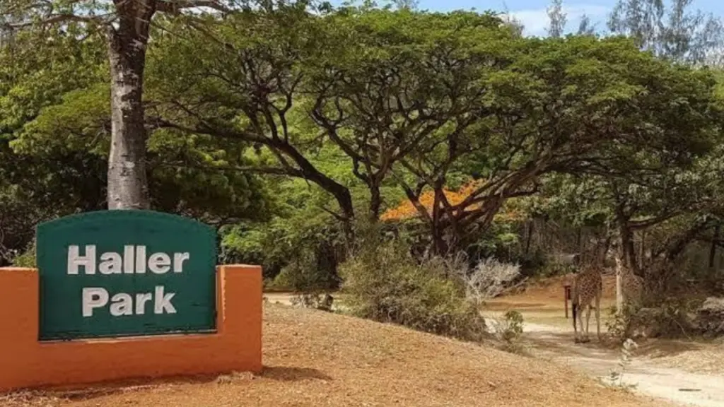 Swiss naturalist turns barren Kenyan quarry into wildlife sanctuary