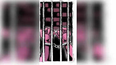 6 tonnes smuggled beef seized in Karnataka, driver arrested