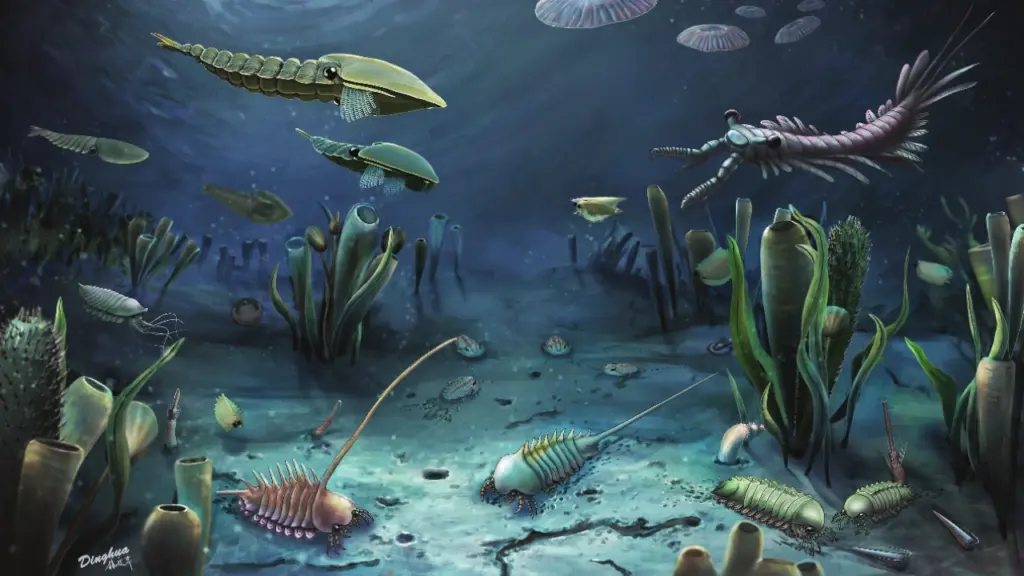 Animal poop may have triggered Earth's Cambrian explosion
