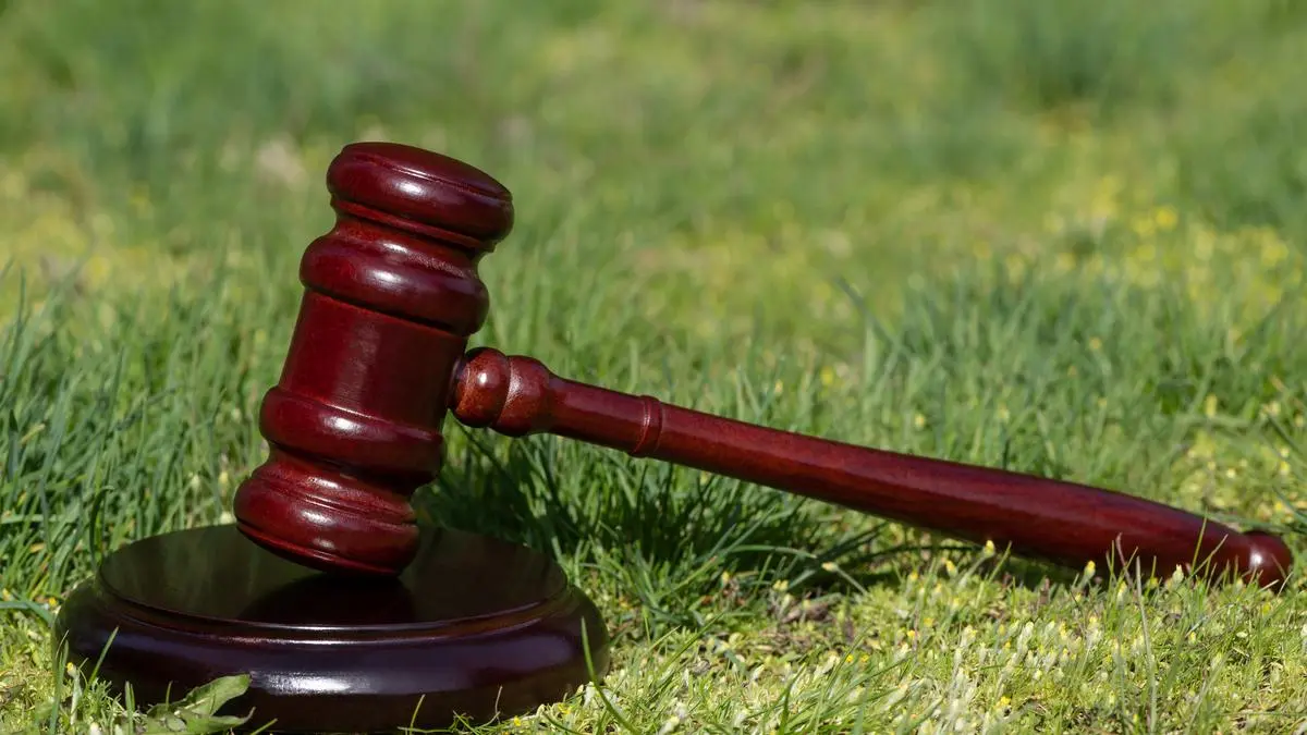 Supreme Court allows ex-post facto environmental clearances