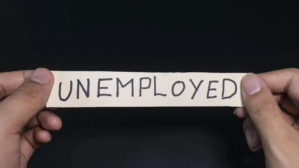 Youth unemployment hits household spending, PLFS data shows