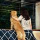 Pet insurance emerges as cushion as vet bills cross lakhs