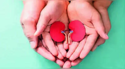 Organ shortage: 5,000 in Mumbai await transplants, 4,000 dead in Telangana