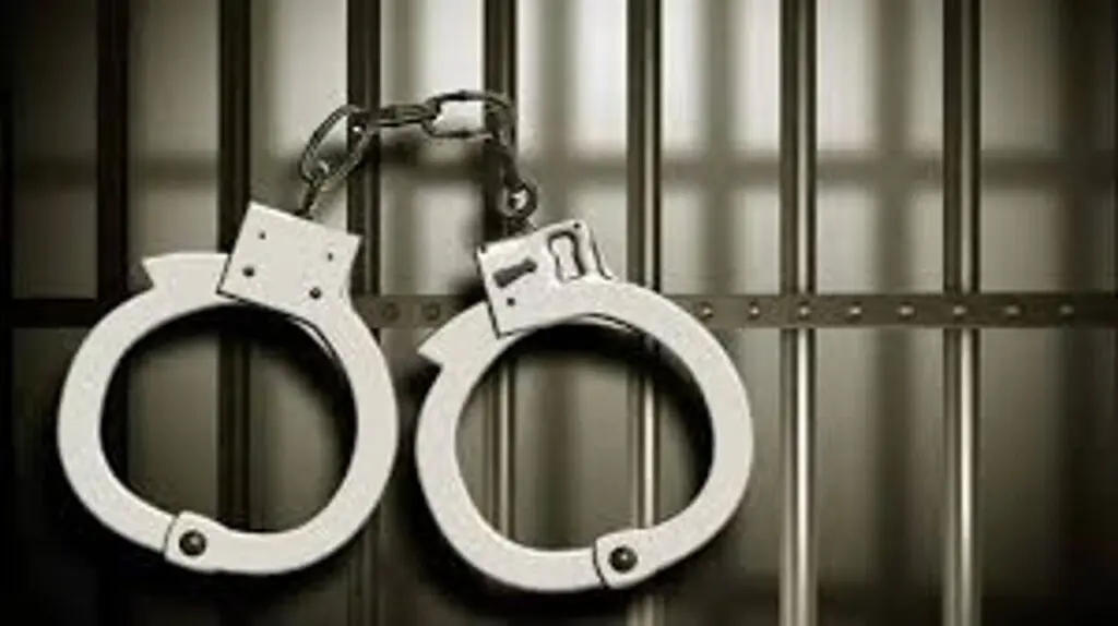 SIA nabs Hizbul narco-terror operative after four-year manhunt
