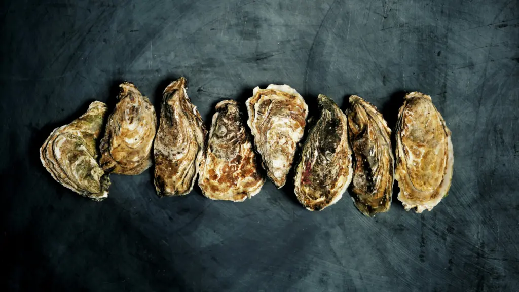 90% of Hiroshima oysters die, threatening Japan's supply