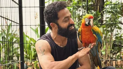 Jr NTR undergoes successful shoulder surgery at KIMS Hyderabad