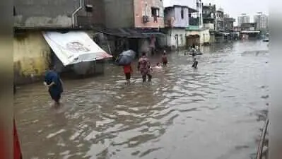 SMC completes 180-km survey of Surat creek network