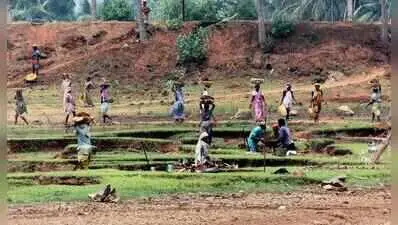 Telangana tops rural job creation under new scheme in July