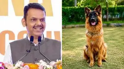 Maharashtra police dogs to stay with handlers after retirement