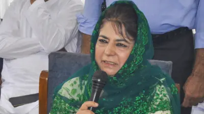 Mehbooba calls herself 'dimagi Naxal' over Article 370 support