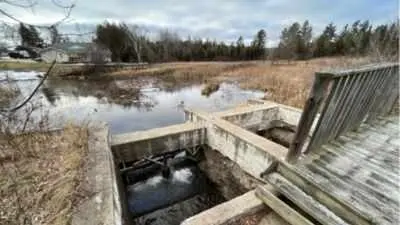 Two Michigan projects restore wetlands and remove dam