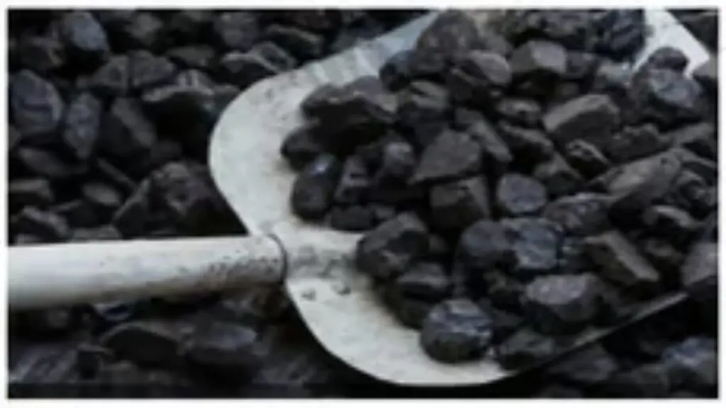 SAIL welcomes mining law amendment, says reforms will boost sector