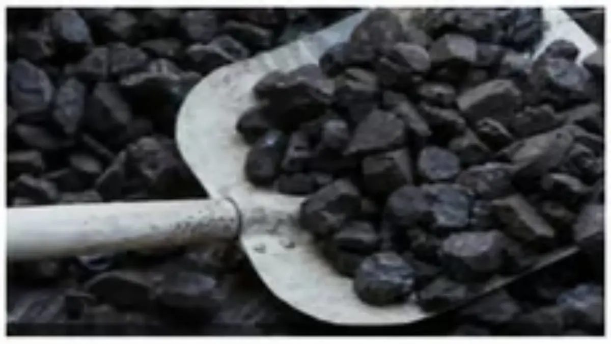 SAIL welcomes mining law amendment, says reforms will boost sector
