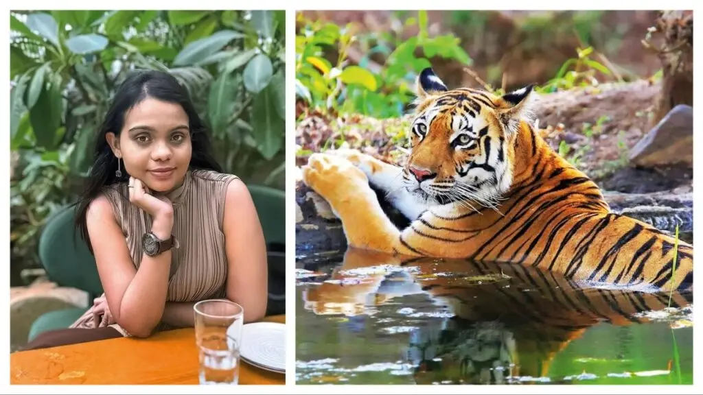 Mumbai photographers share tiger photography tips for World Photography Day