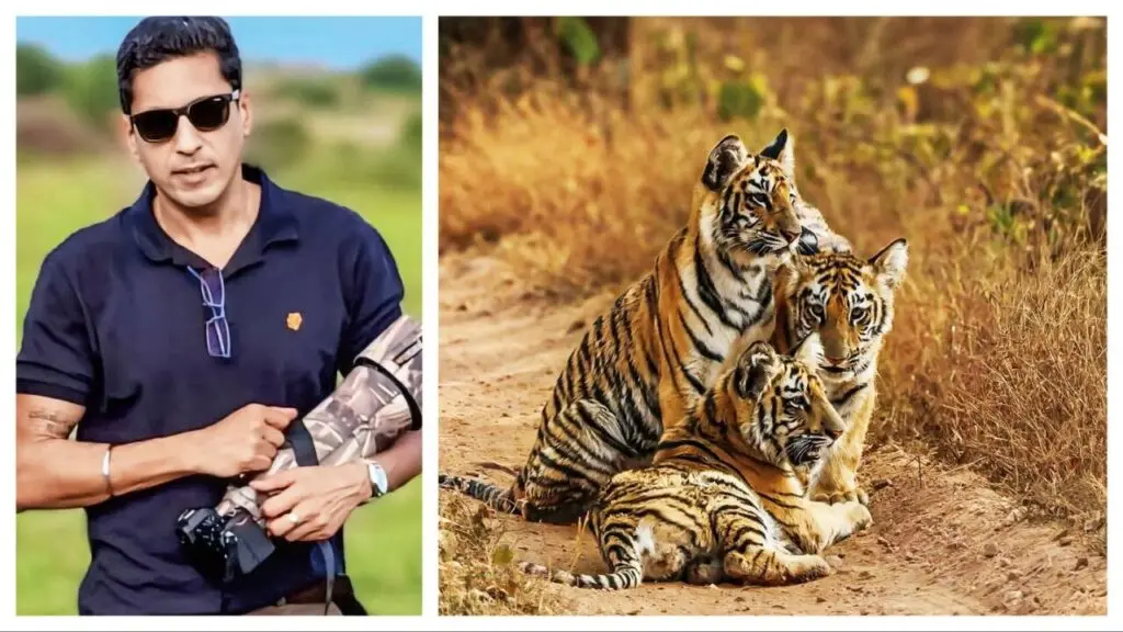 Mumbai photographers share tiger photography tips for World Photography Day