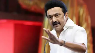 Stalin reprimands DMK MLAs for jokes in Assembly