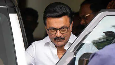 Stalin moves HC against TVK MLA Babu's Kolathur win