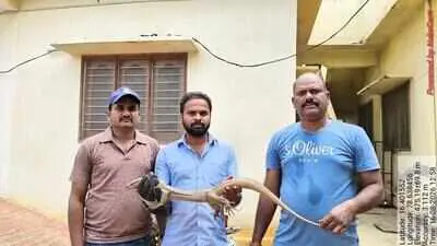 Monitor lizard rescued from house in Achampet