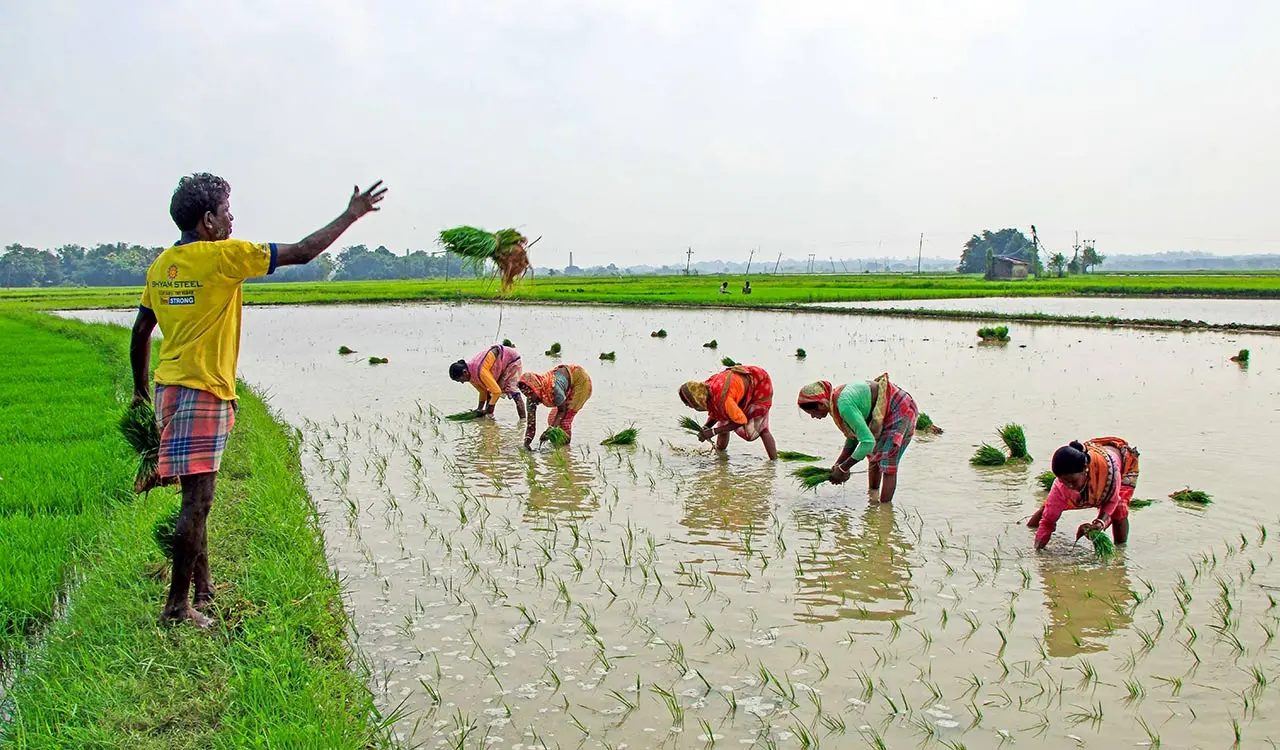Monsoon deficit narrows but El Nino threat remains, reports differ