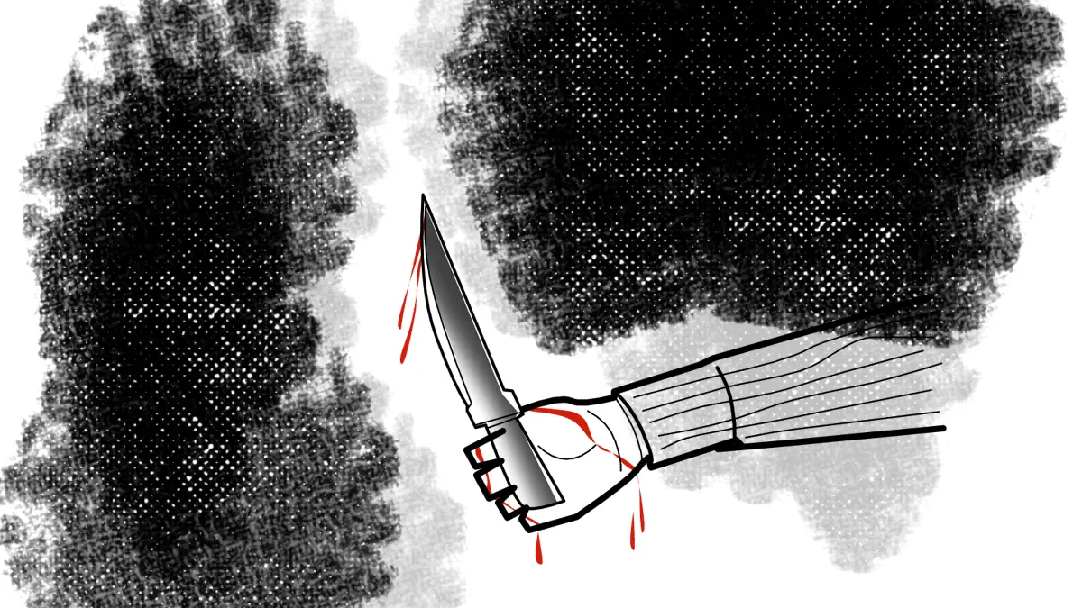 Two juveniles stab Delhi hotel worker over biryani taste