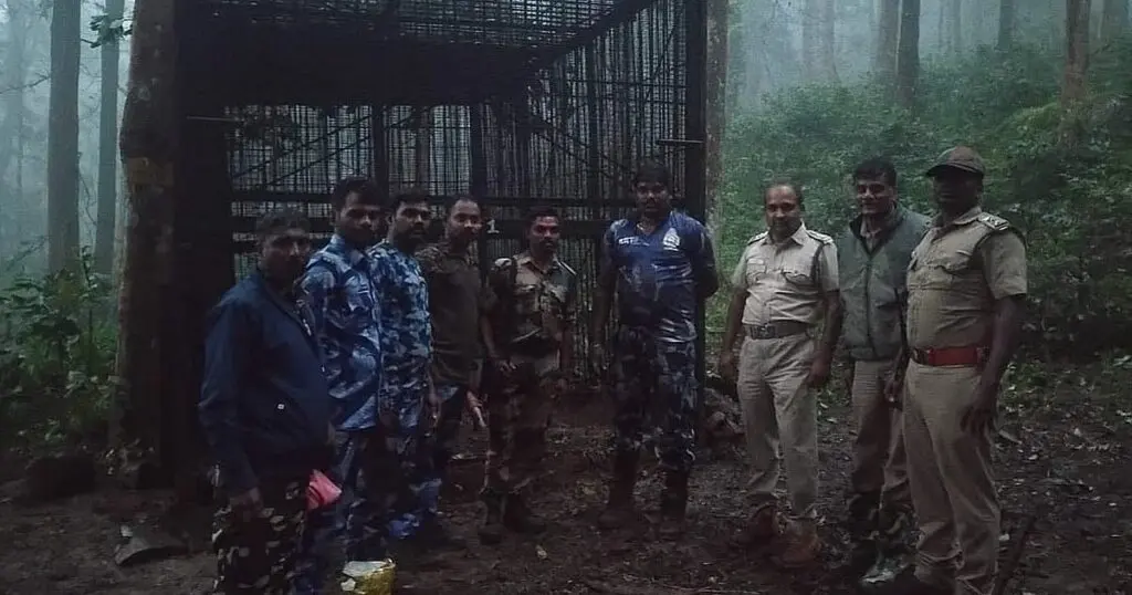 Nilgiris tiger declared man-eater after two fatal attacks