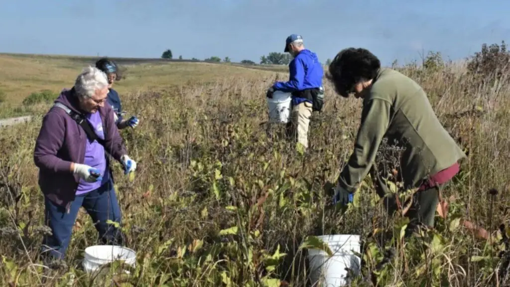 US peatland restoration stores carbon equal to 42,000 vehicles