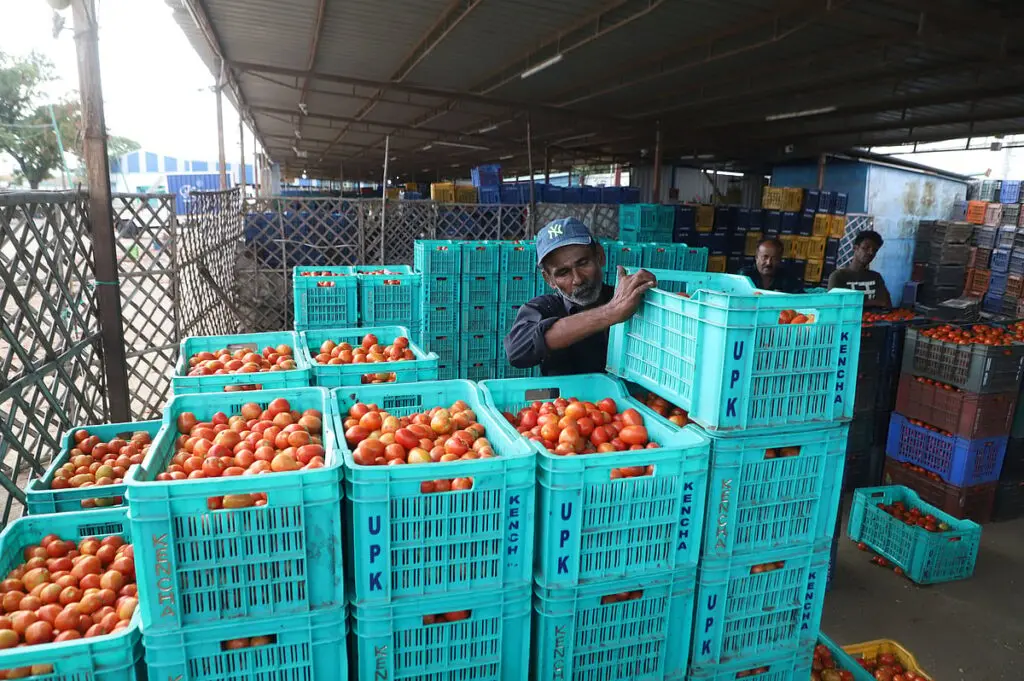 Farmers oppose plan to shift Coimbatore tomato market