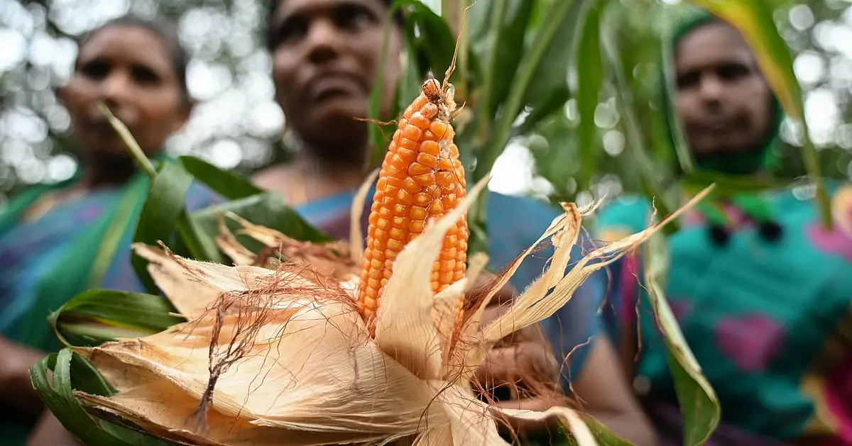 Ethanol E20 default nationwide, but cost burden falls on consumers