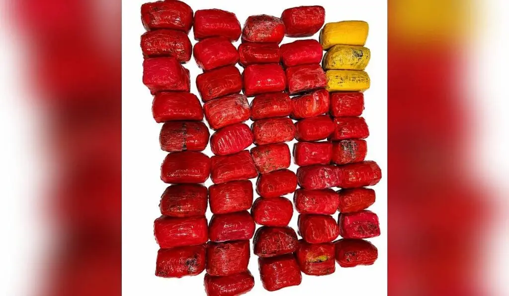 44 kg heroin, 3 kg ICE seized in Punjab-BSF joint op