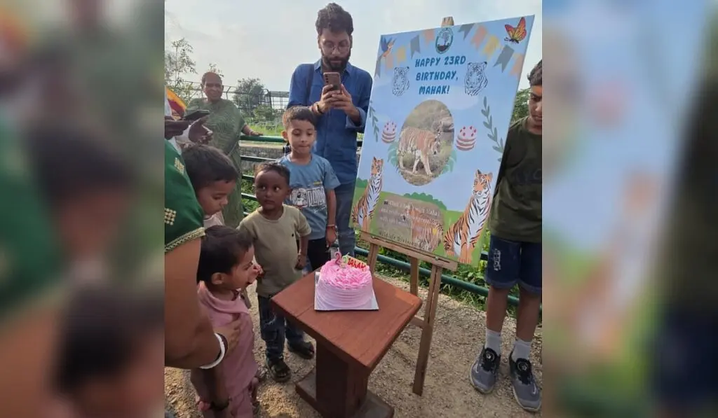 Tigress Mehak at Kota park marks 23 years, claimed oldest in India