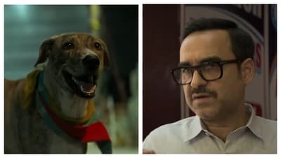 Ohh My Dog review: 2.5-3.5 stars, family-friendly but predictable