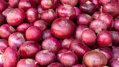 Onion prices up 59% as Centre launches Kanda Express