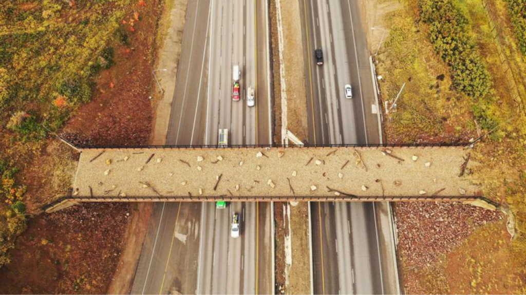 Oregon and Utah build more than 130 wildlife crossings