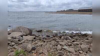 Karnataka reviews Cauvery release after CWMA backs Tamil Nadu order