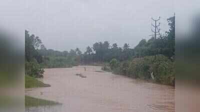 Palghar rain damages crops across 1,205 hectares, hits 4,636 farmers