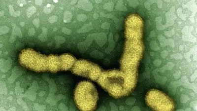 Delhi CM calls emergency meet as H1N1 cases cross 2,300