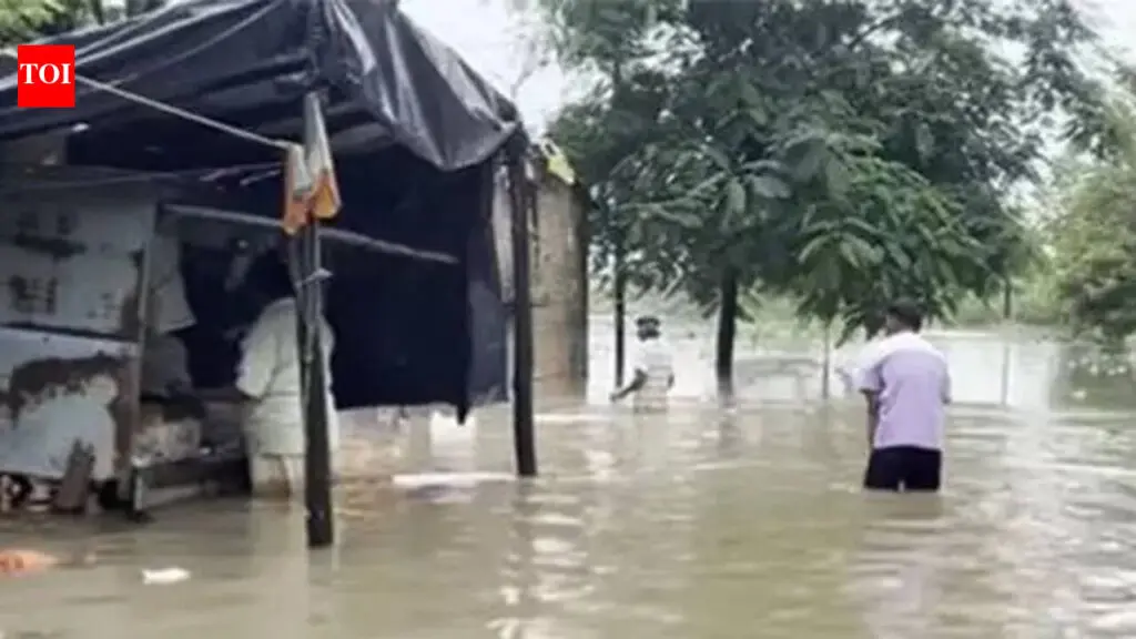 Ahmedabad Schools Allowed Voluntary Sunday Classes After Rain Closures