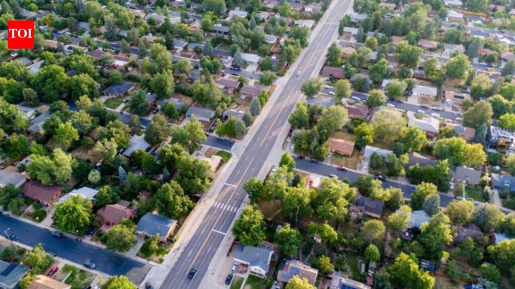 Chicago Tree Loss Linked to 105 More Deaths Annually