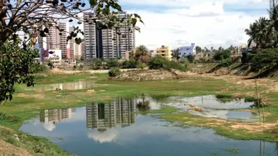 Bengaluru lake study finds sewage diversion improves water quality