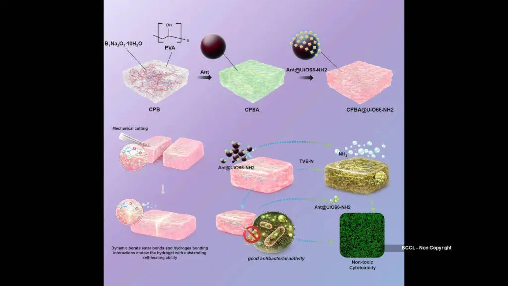 Kyushu University smart film changes colour as meat spoils