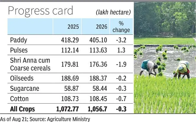 Kharif sowing reaches 96% of normal area, paddy lags 3.2%