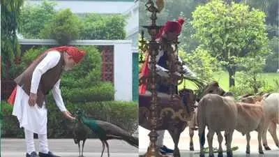 PM Modi feeds animal 'friends' before Independence Day