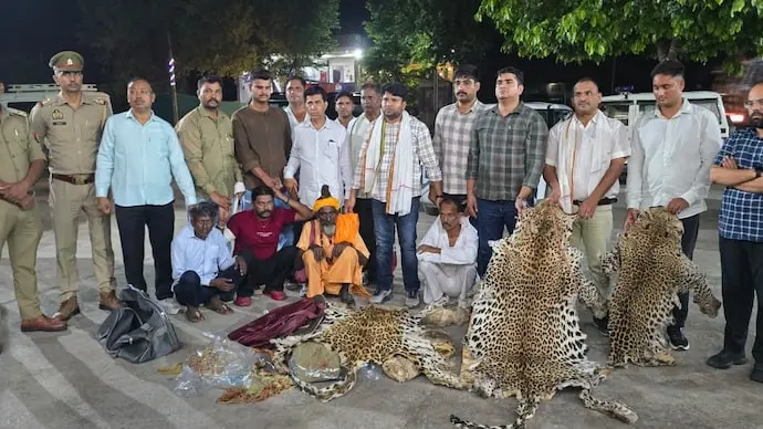 MP leopard poaching network busted, Delhi NGO linked
