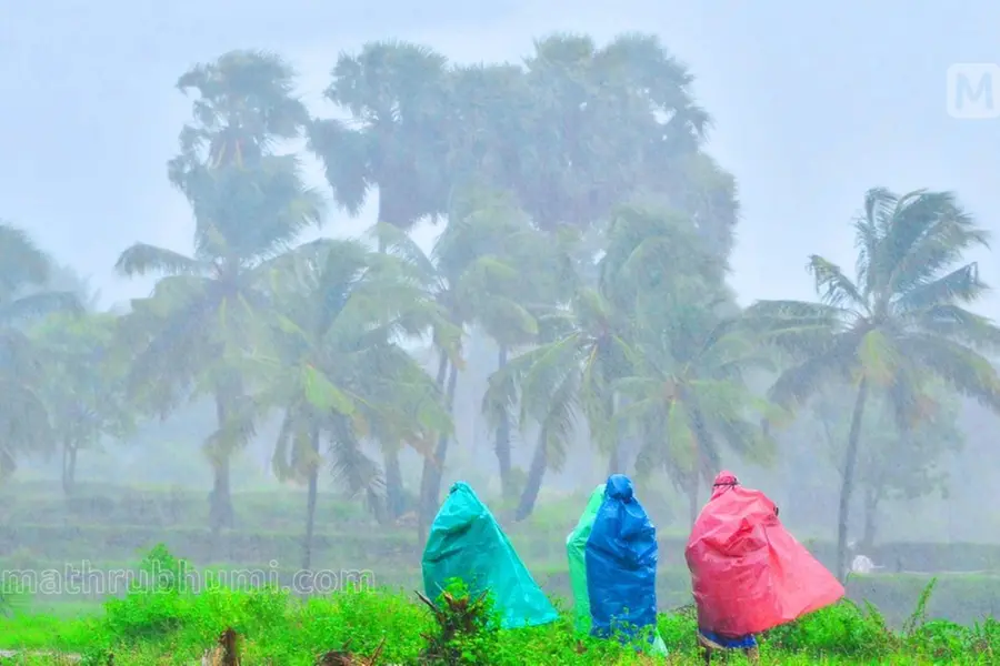 Kerala extends crop loss relief claim deadline to September 5