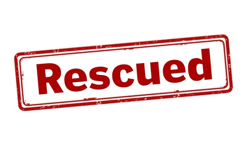 Three rescued after building collapses in Delhi's Kashmere Gate