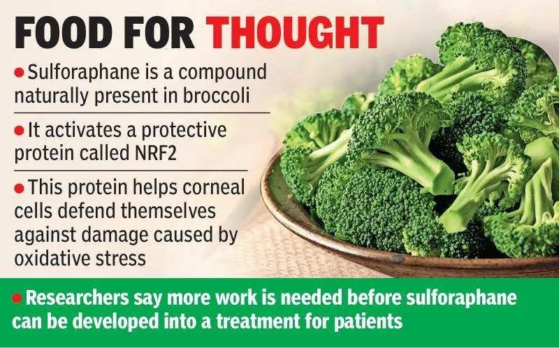 Broccoli compound may help treat corneal disorder